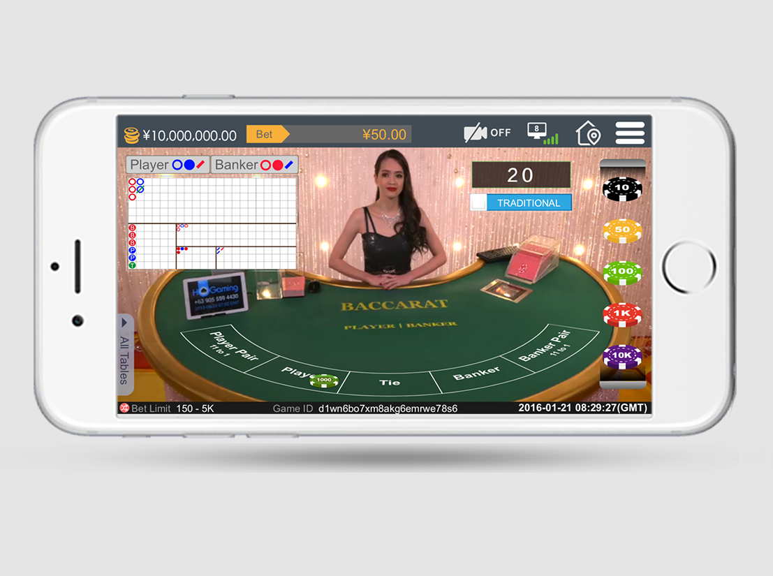 User Dashboard